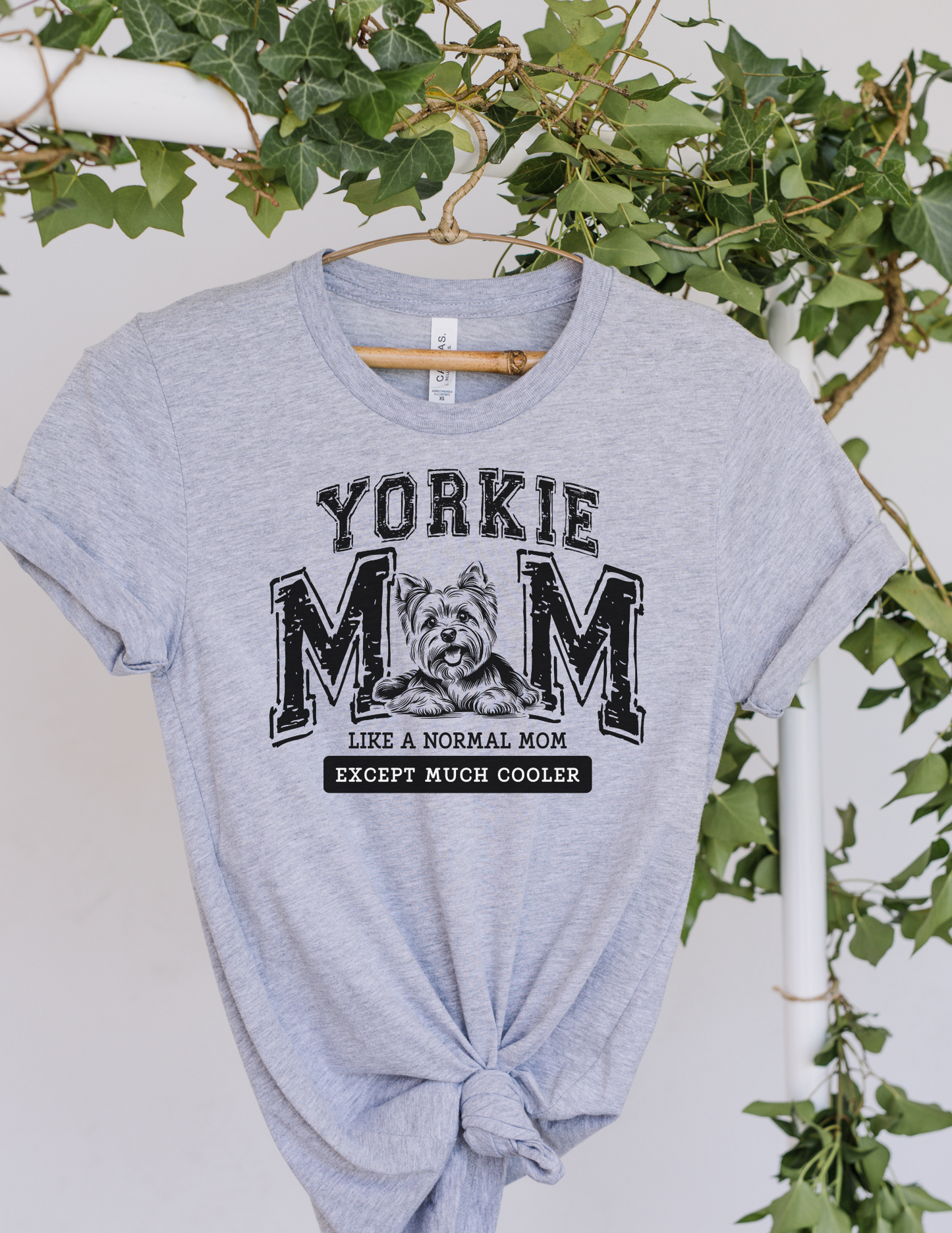 Yorkie Mom